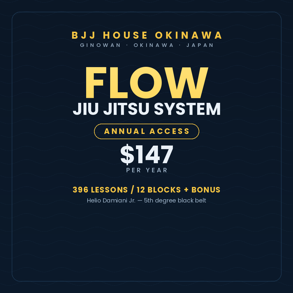 Flow Jiu Jitsu System — Annual