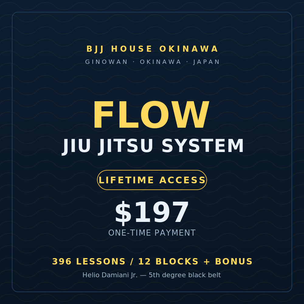Flow Jiu Jitsu System — Lifetime Access